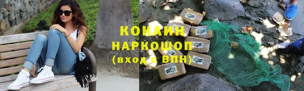 прущие крисы Абаза