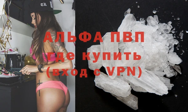 прущие крисы Абаза