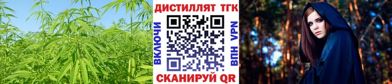 сколько стоит  Оса  Дистиллят ТГК Wax 